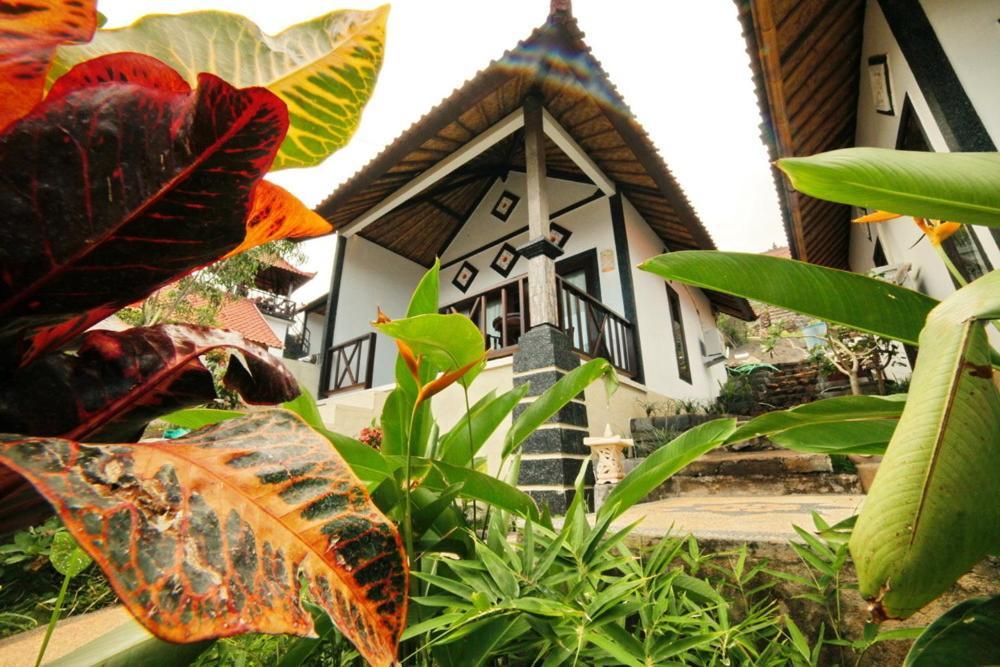 Warung Ary & Home Stay Amed Exteriér fotografie